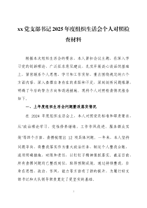 党支部书记2025年度组织生活会个人对照检查材料两篇
