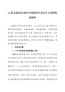 党支部委员2025年度组织生活会个人对照检查材料两篇