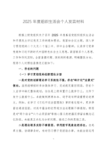 2025年度组织生活会个人发言材料三篇