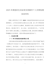 2025年度组织生活会党支部委员个人对照检查发言材料三篇