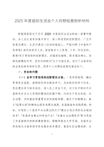 2025年度组织生活会个人对照检查剖析材料3篇