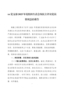 党支部2025年度组织生活会及民主评议党员情况总结报告两篇