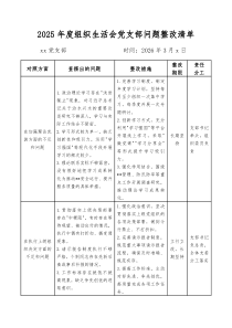 2025年组织生活会党支部及个人查摆问题整改清单三篇